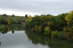 DSC05767-1